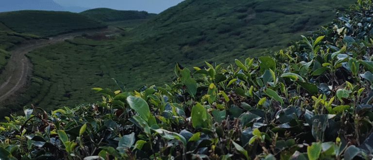 La Pasión de Tres Generaciones